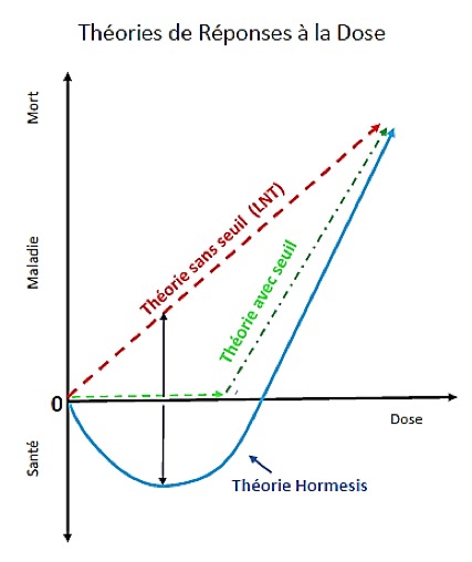 Theorie reponse dose